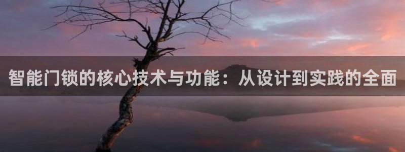 开丰娱乐不开了吗：智能门锁的核心技术与功能：从设计到实践的全