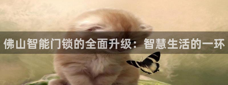 开丰娱乐地址：佛山智能门锁的全面升级：智慧生活的一环