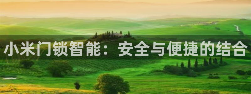 开丰娱乐官网平台下载：小米门锁智能：安全与便捷的结合