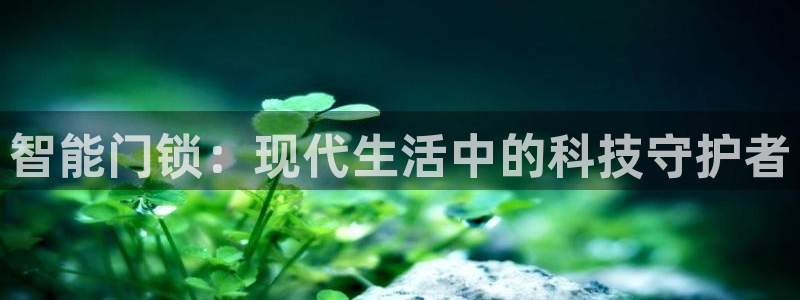 开丰娱乐新登录平台：智能门锁：现代生活中的科技守护者