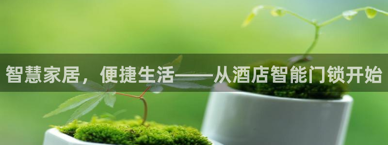 开丰娱乐右7O667：智慧家居，便捷生活——从酒店智能门锁开