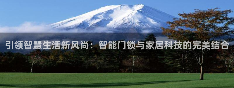 开丰娱乐官网电话：引领智慧生活新风尚：智能门锁与家居科技的完