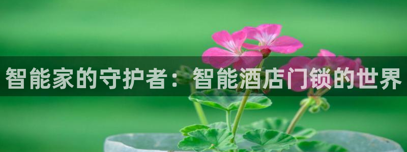 开丰娱乐网站：智能家的守护者：智能酒店门锁的世界