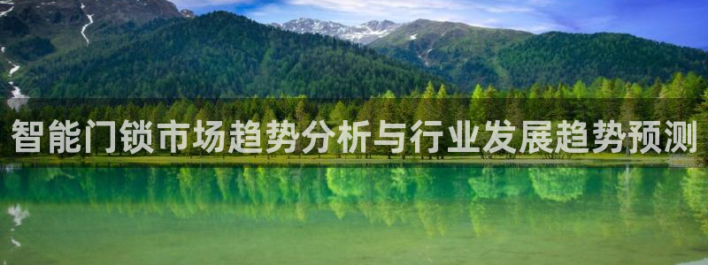 开丰娱乐测速：智能门锁市场趋势分析与行业发展趋势预测