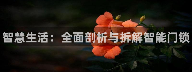 开丰娱乐寸67五壹叁八：智慧生活：全面剖析与拆解智能门锁