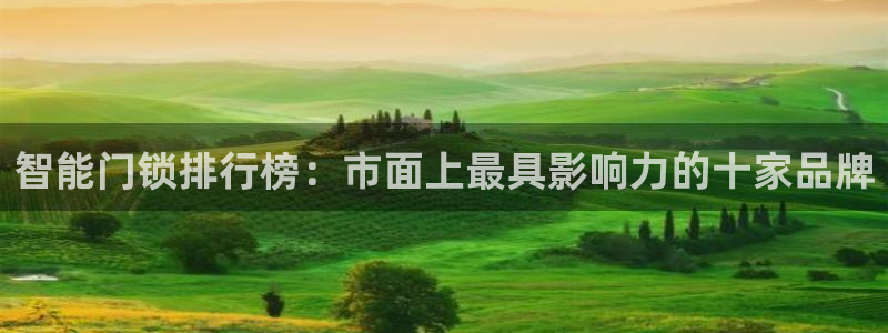 开丰娱乐左7O667：智能门锁排行榜：市面上最具影响力的十家