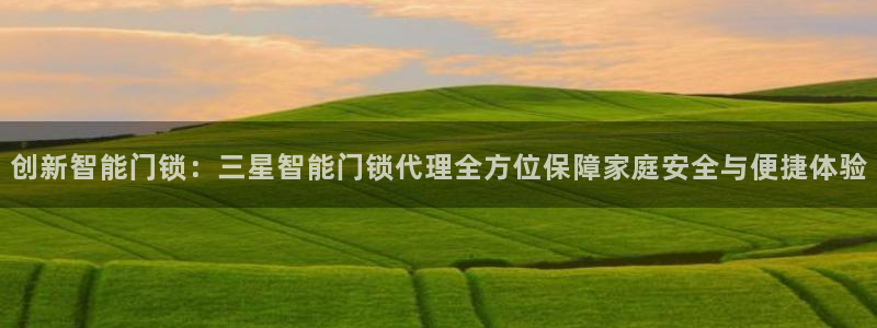 开丰娱乐平台官网登录：创新智能门锁：三星智能门锁代理全方位保