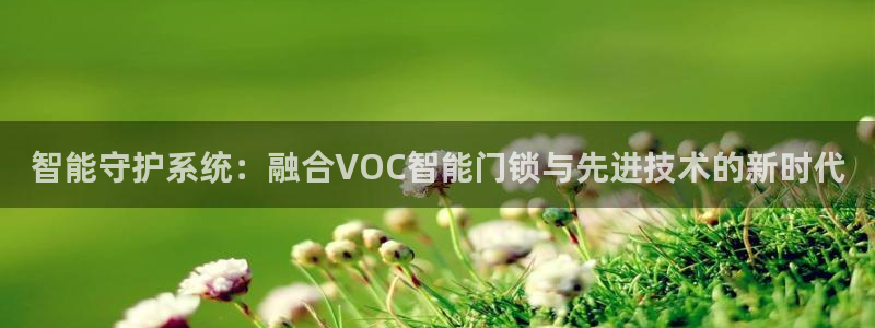 开丰娱乐月：智能守护系统：融合VOC智能门锁与先进技术的新时