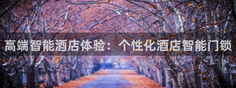 开丰娱乐注册登录：高端智能酒店体验：个性化酒店智能门锁