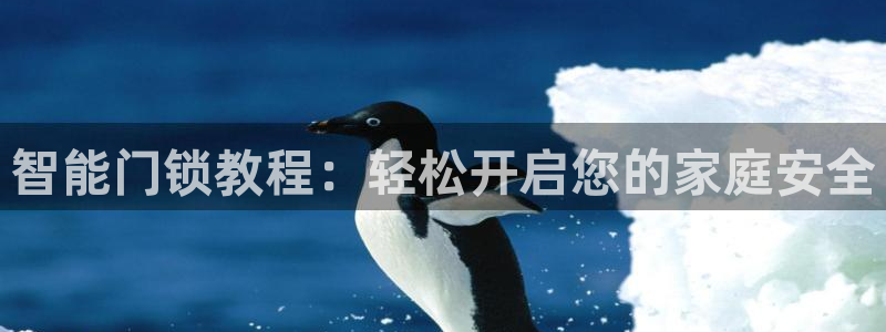 开丰娱乐平台：智能门锁教程：轻松开启您的家庭安全