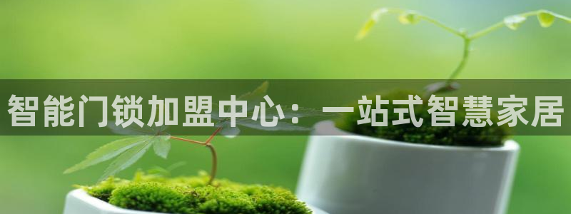 开丰娱乐官网电话：智能门锁加盟中心：一站式智慧家居