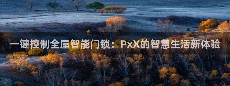 如何注册开丰娱乐账号：一键控制全屋智能门锁：PxX的智慧生活