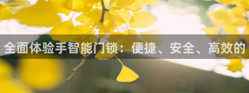 开丰娱乐体育平台：全面体验手智能门锁：便捷、安全、高效的