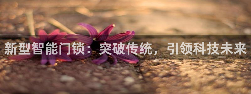 开丰娱乐登入地址查询：新型智能门锁：突破传统，引领科技未来