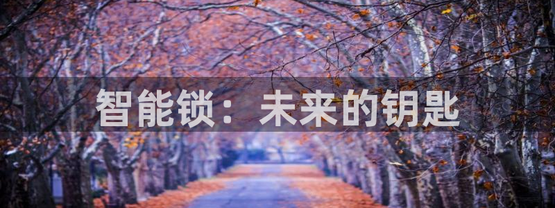 开丰娱乐登录：智能锁：未来的钥匙