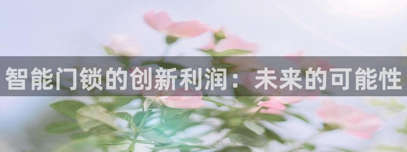开丰娱乐登入地址在哪查：智能门锁的创新利润：未来的可能性