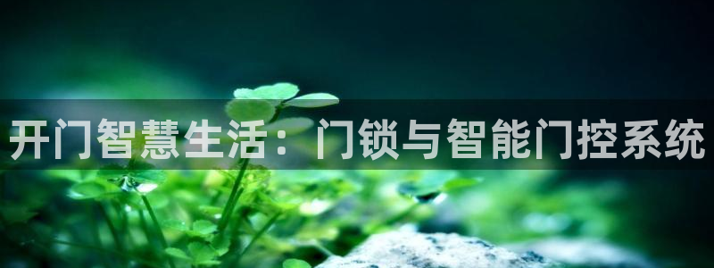 开丰娱乐 赢咖一：开门智慧生活：门锁与智能门控系统
