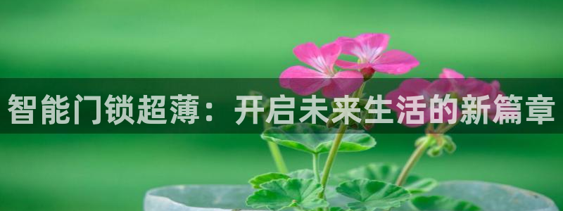 开丰娱乐主管家去判官333OO：智能门锁超薄：开启未来生活的