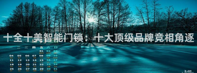 开丰娱乐平台官网登录：十全十美智能门锁：十大顶级品牌竞相角逐