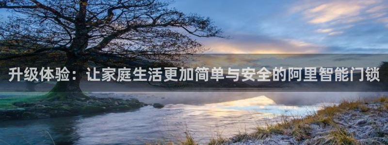 下载开丰娱乐：升级体验：让家庭生活更加简单与安全的阿里智能门
