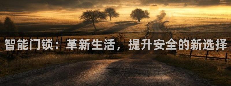 开丰娱乐平台提现失败：智能门锁：革新生活，提升安全的新选择