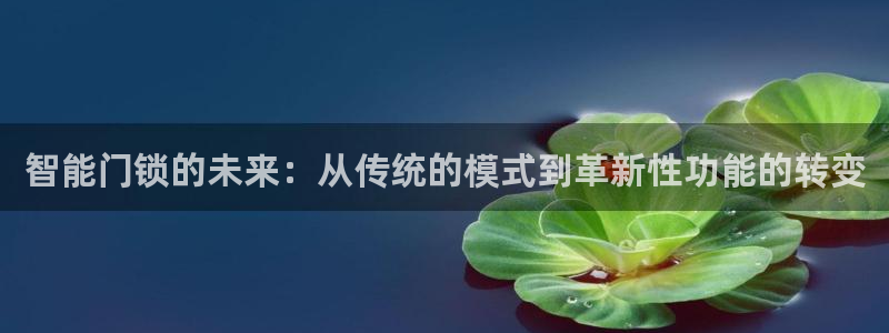 开丰娱乐平台注册地址：智能门锁的未来：从传统的模式到革新性功