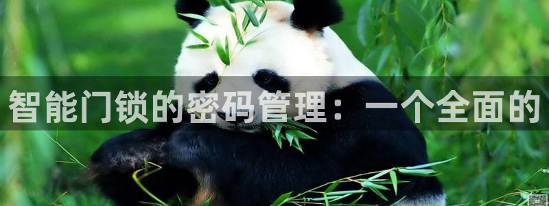 开丰娱乐左7O667