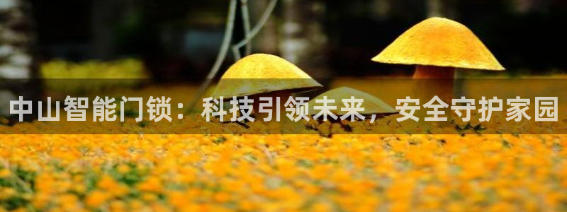 开丰娱乐登录官方网站：中山智能门锁：科技引领未来，安全守护家