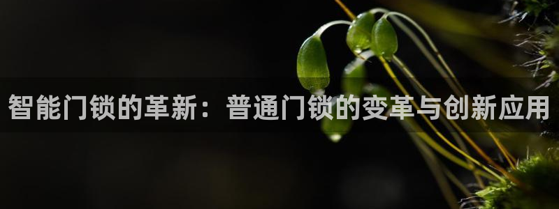 开丰娱乐登录：智能门锁的革新：普通门锁的变革与创新应用