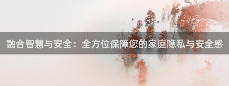 开丰娱乐注册：融合智慧与安全：全方位保障您的家庭隐私与安全感
