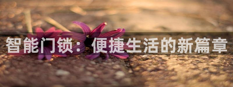 开丰娱乐网官网注册入口：智能门锁：便捷生活的新篇章