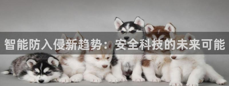 开丰娱乐网址：智能防入侵新趋势：安全科技的未来可能