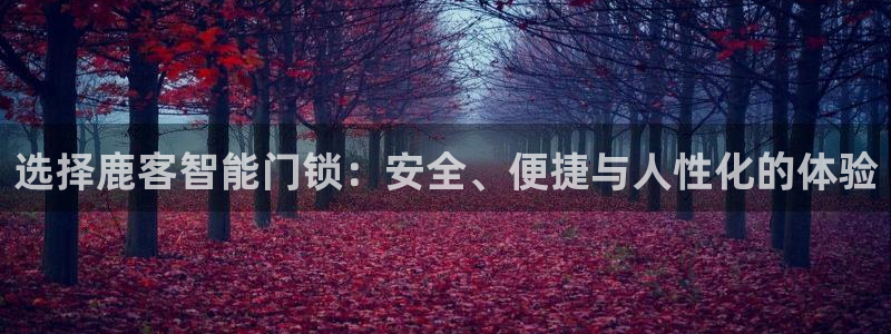 开丰娱乐官网最新消息：选择鹿客智能门锁：安全、便捷与人性化的