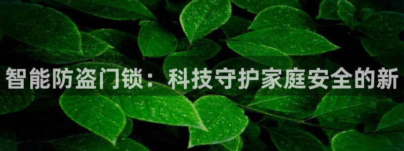 开丰娱乐登录平台：智能防盗门锁：科技守护家庭安全的新