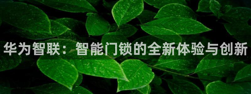 开丰娱乐日