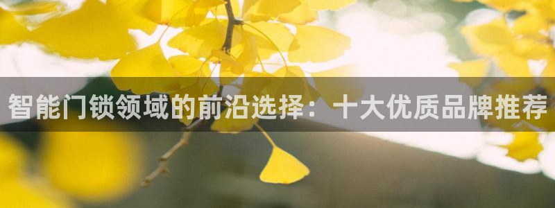 开丰娱乐登入地址在哪儿：智能门锁领域的前沿选择：十大优质品牌