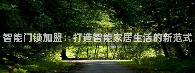 开丰娱乐注册系究耍333OO：智能门锁加盟：打造智能家居生活