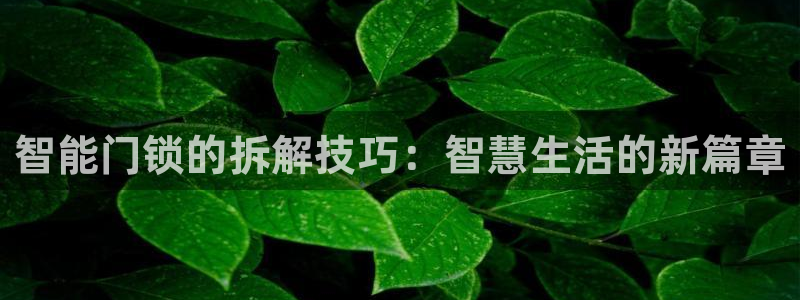 开丰娱乐网官网注册入口：智能门锁的拆解技巧：智慧生活的新篇章