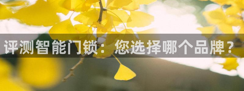 开丰娱乐网站：评测智能门锁：您选择哪个品牌？