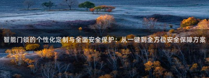 开丰娱乐最新活动：智能门锁的个性化定制与全面安全保护：从一键