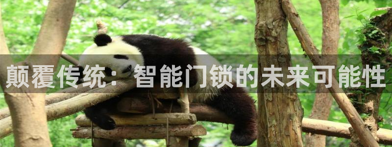 开丰娱乐手机app