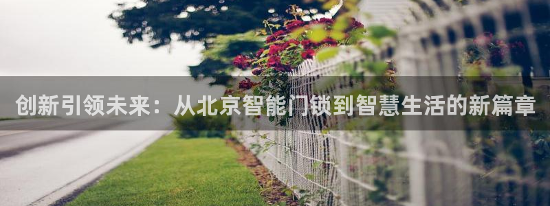 开丰娱乐寸六七五一38：创新引领未来：从北京智能门锁到智慧生