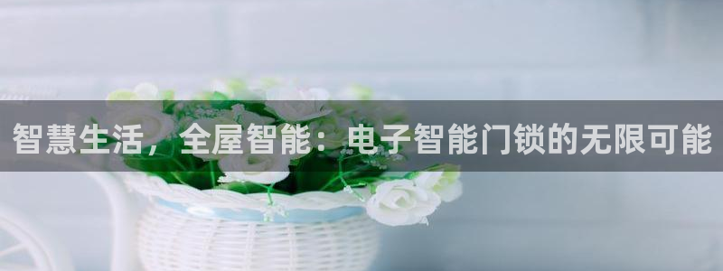 开丰娱乐注册：智慧生活，全屋智能：电子智能门锁的无限可能