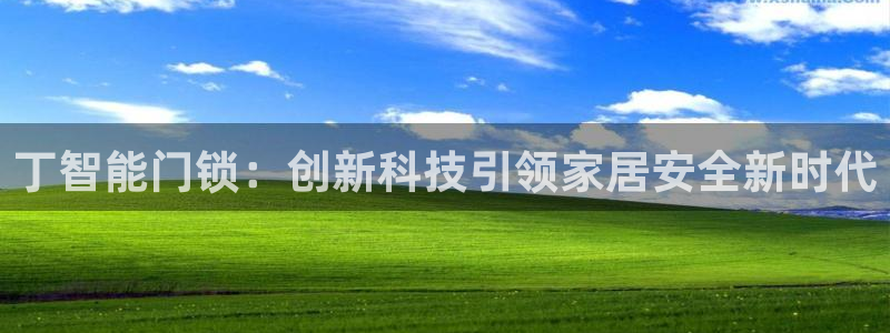 开丰娱乐姜333OO：丁智能门锁：创新科技引领家居安全新时代