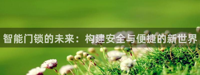 开丰娱乐寸六七五一38：智能门锁的未来：构建安全与便捷的新世