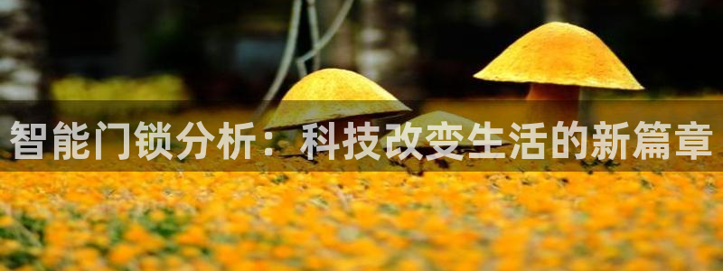 下载开丰娱乐：智能门锁分析：科技改变生活的新篇章