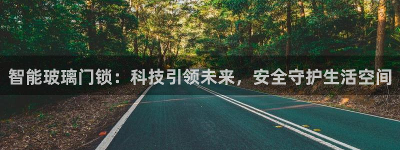 开丰娱乐登入：智能玻璃门锁：科技引领未来，安全守护生活空间