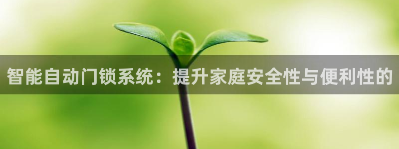 开丰娱乐app：智能自动门锁系统：提升家庭安全性与便利性的