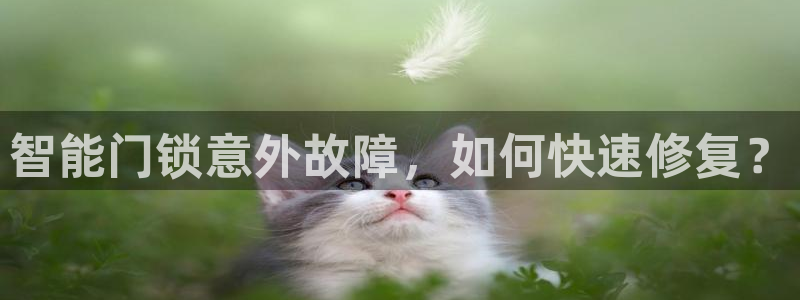 开丰娱乐登入地址是什么