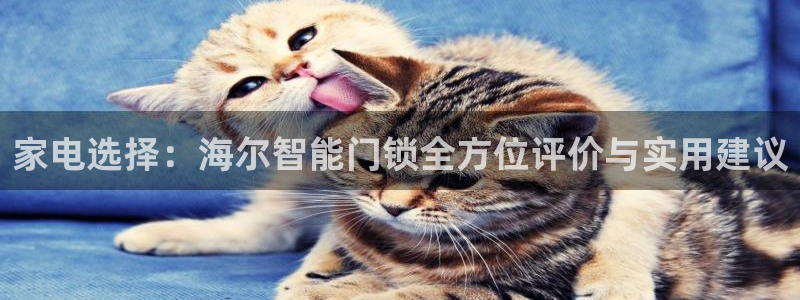 开丰娱乐官网平台登录：家电选择：海尔智能门锁全方位评价与实用